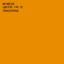 #E98C00 - Tangerine Color Image