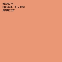 #E99774 - Apricot Color Image