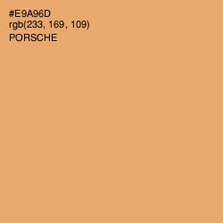 #E9A96D - Porsche Color Image