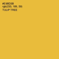 #E9BD3B - Tulip Tree Color Image