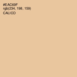 #EAC69F - Calico Color Image