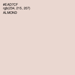 #EAD7CF - Almond Color Image