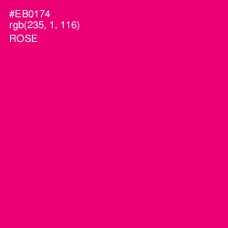 #EB0174 - Rose Color Image