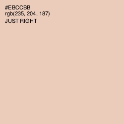 #EBCCBB - Just Right Color Image
