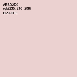 #EBD2D0 - Bizarre Color Image