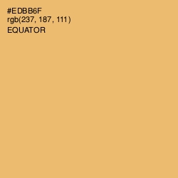 #EDBB6F - Equator Color Image