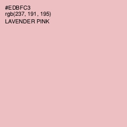 #EDBFC3 - Lavender Pink Color Image