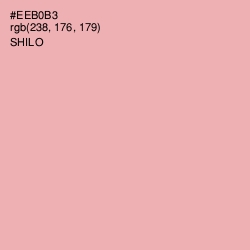 #EEB0B3 - Shilo Color Image