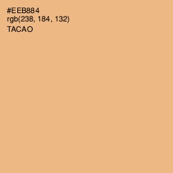 #EEB884 - Tacao Color Image