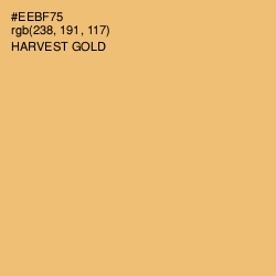 #EEBF75 - Harvest Gold Color Image