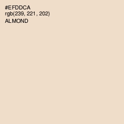#EFDDCA - Almond Color Image
