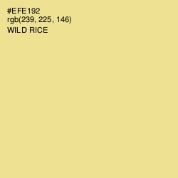 #EFE192 - Wild Rice Color Image