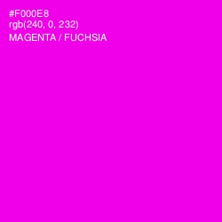 #F000E8 - Magenta / Fuchsia Color Image