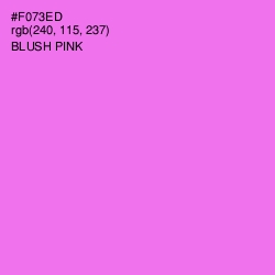 #F073ED - Blush Pink Color Image