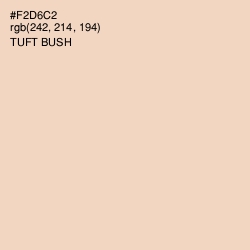 #F2D6C2 - Tuft Bush Color Image
