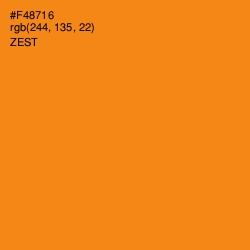 #F48716 - Zest Color Image