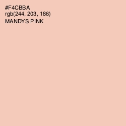 #F4CBBA - Mandys Pink Color Image