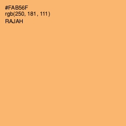 #FAB56F - Rajah Color Image