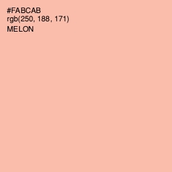 #FABCAB - Melon Color Image