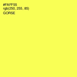 #FAFF55 - Gorse Color Image