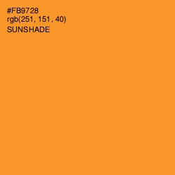 #FB9728 - Sunshade Color Image