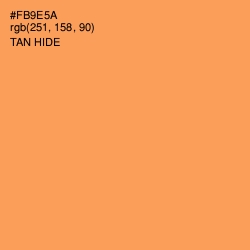 #FB9E5A - Tan Hide Color Image