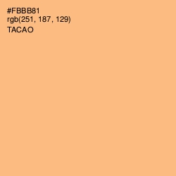 #FBBB81 - Tacao Color Image