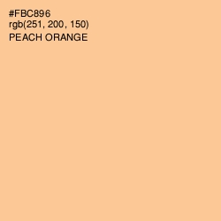 #FBC896 - Peach Orange Color Image