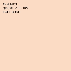 #FBDBC3 - Tuft Bush Color Image