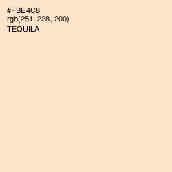 #FBE4C8 - Tequila Color Image