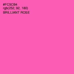 #FC5CB4 - Brilliant Rose Color Image