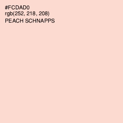 #FCDAD0 - Peach Schnapps Color Image