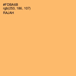 #FDBA6B - Rajah Color Image