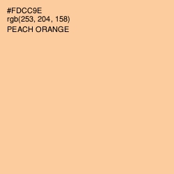 #FDCC9E - Peach Orange Color Image
