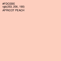 #FDCEBE - Apricot Peach Color Image