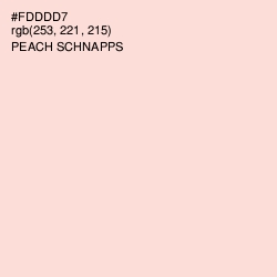 #FDDDD7 - Peach Schnapps Color Image