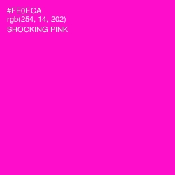 #FE0ECA - Shocking Pink Color Image