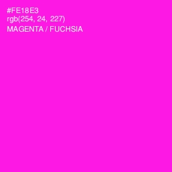 #FE18E3 - Magenta / Fuchsia Color Image
