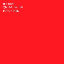 #FE1922 - Torch Red Color Image