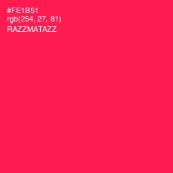 #FE1B51 - Razzmatazz Color Image