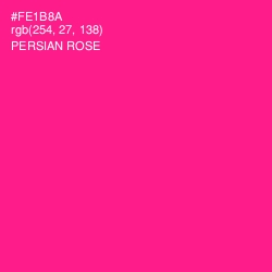 #FE1B8A - Persian Rose Color Image