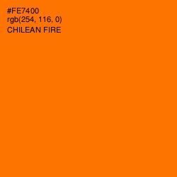 #FE7400 - Chilean Fire Color Image