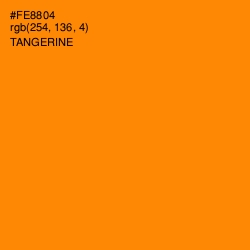 #FE8804 - Tangerine Color Image