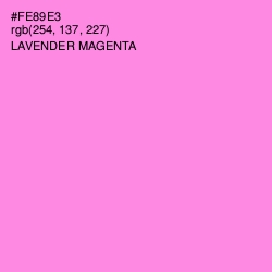 #FE89E3 - Lavender Magenta Color Image