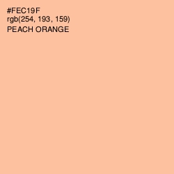#FEC19F - Peach Orange Color Image