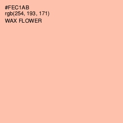 #FEC1AB - Wax Flower Color Image