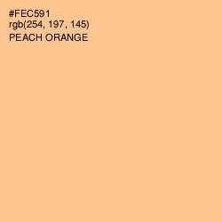 #FEC591 - Peach Orange Color Image