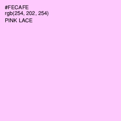 #FECAFE - Pink Lace Color Image