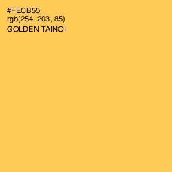 #FECB55 - Golden Tainoi Color Image