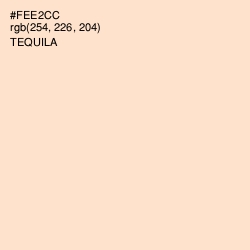 #FEE2CC - Tequila Color Image